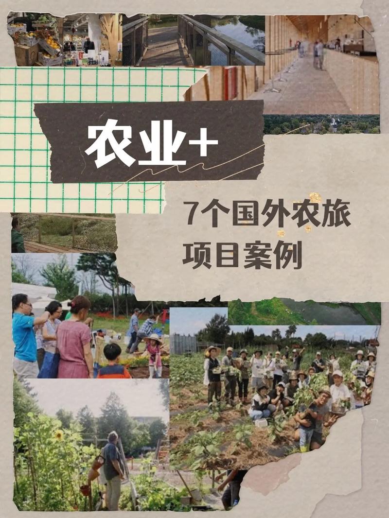 国外农业与中国农业对比