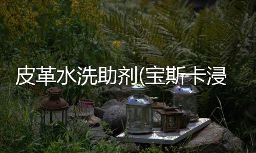 皮革水洗助剂(宝斯卡浸酸助剂D作用机理)