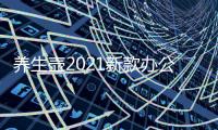 养生壶2021新款办公室小型多功能mini炖盅煮茶器陶瓷家用迷你1人