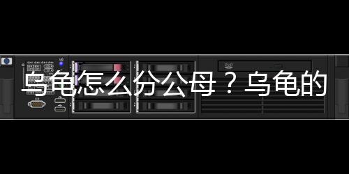 乌龟怎么分公母？乌龟的种类