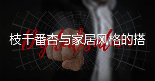 枝干番杏与家居风格的搭配