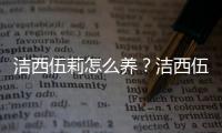 洁西伍莉怎么养？洁西伍莉的养殖方法