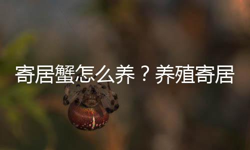 寄居蟹怎么养？养殖寄居蟹注意事项