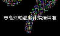 志高烤箱温度计烘焙精准厨房专用耐高温食品烘培家用焗炉烤炉内置