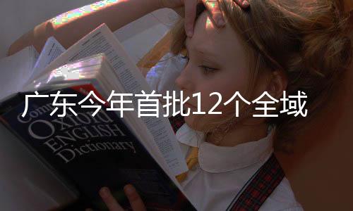 广东今年首批12个全域土地综合整治实施方案通过省级备案