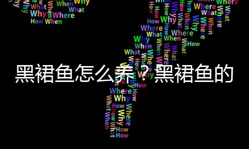 黑裙鱼怎么养？黑裙鱼的常见病